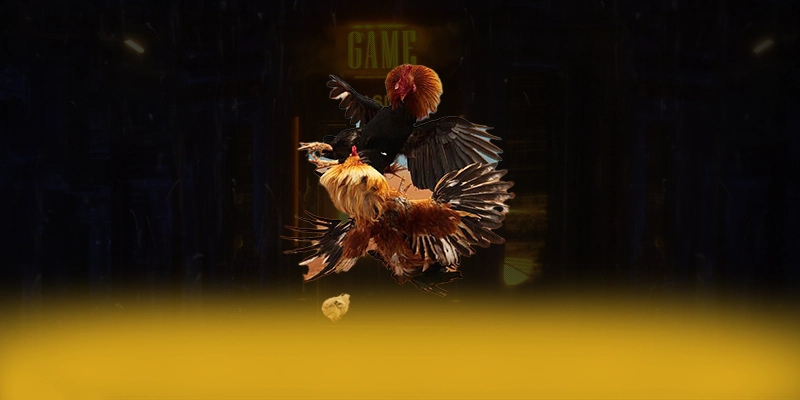 GA6789 – Sân chơi an toàn tuyệt đối, được cộng đồng đánh giá tích cực.