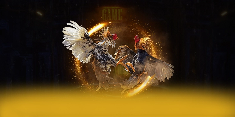 LC88 - Sân chơi uy tín được giới chuyên môn đánh giá cao – Trải nghiệm LC88