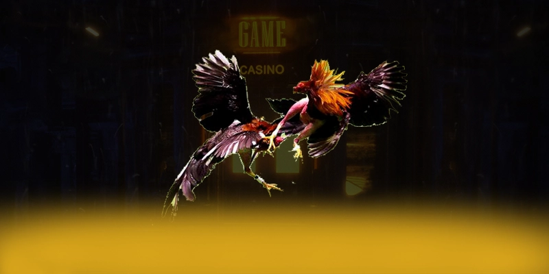 9Bet – Cổng trò chơi phổ biến nhất, được giới cược thủ đánh giá cao.