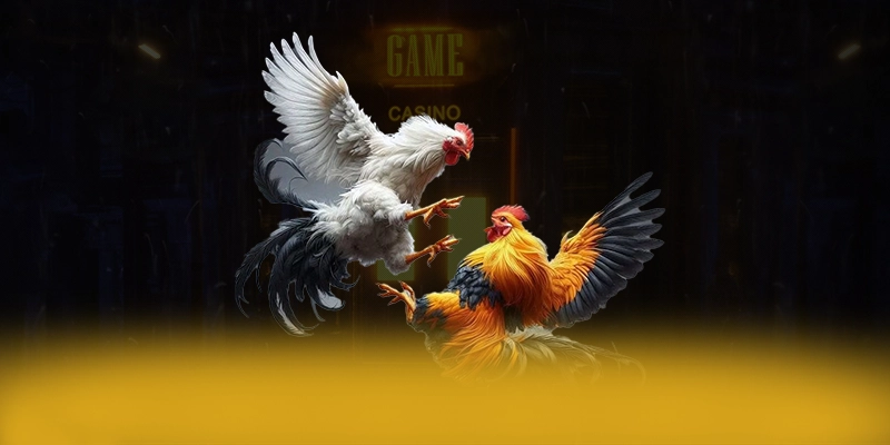 Vinbet - Hệ thống trò chơi trực tuyến với nhiều tựa game đổi thưởng hấp dẫn được đánh giá cao – Khám phá top Vinbet Vinbet - Hệ thống trò chơi trực tuyến với nhiều tựa game đổi thưởng hấp dẫn được đánh giá cao – Khám phá top Vinbet