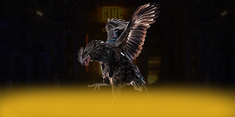 UU88 - Nền tảng cá cược hấp dẫn được quan tâm nhất – Tìm hiểu UU88 UU88 - Nền tảng cá cược hấp dẫn được quan tâm nhất – Tìm hiểu UU88