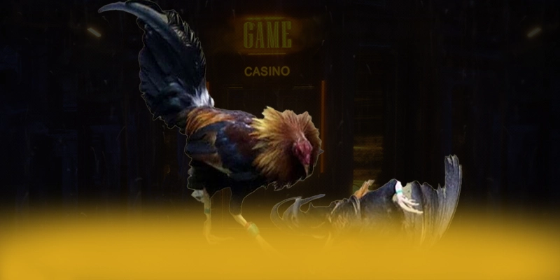 Khám phá 789WIN - Trang game hàng đầu Việt Nam 2025
Khám phá 789WIN - Trang game hàng đầu Việt Nam 2025