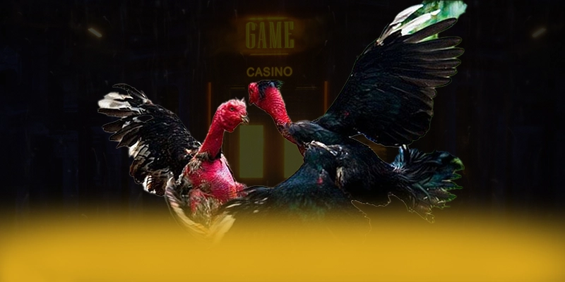 LC88 - Thương hiệu đang làm mưa làm gió trên thị trường – Tổng hợp game hot tại LC88