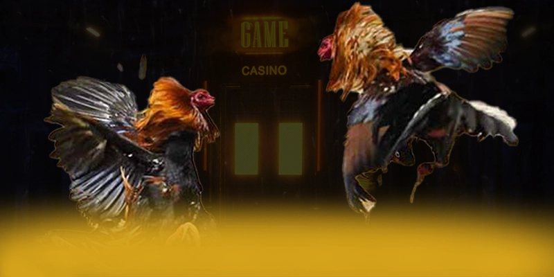 
Tìm hiểu LC88 - Cổng game bài uy tín được quan tâm
