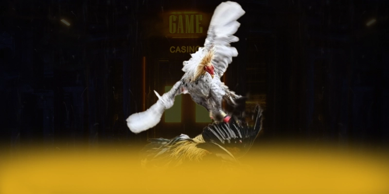 DAGA88 - Thương hiệu game trực tuyến đang làm mưa làm gió đang làm mưa làm gió trên thị trường – Khám phá những game hot đến từ DAGA88