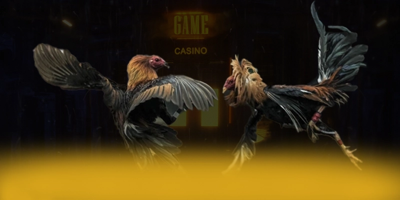 DAGA88 - Sảnh game với chương trình tri ân lớn được người chơi tin tưởng – Trải nghiệm DAGA88