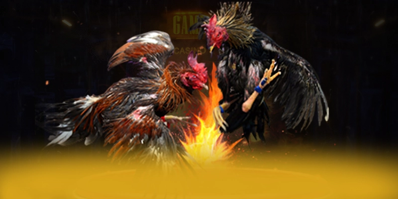 GA6789 - Cổng giải trí phổ biến hàng đầu được cộng đồng đánh giá cao