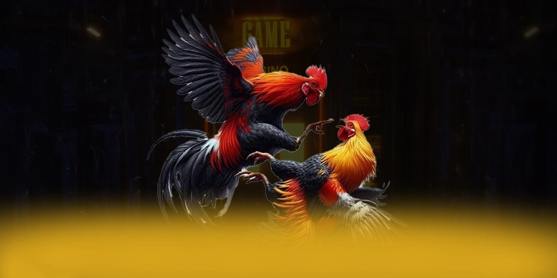 Cập nhật thông tin về GO8 - Cổng trò chơi được tin dùng được giới cược thủ tin tưởng
Cập nhật thông tin về GO8 - Cổng trò chơi được tin dùng được giới cược thủ tin tưởng