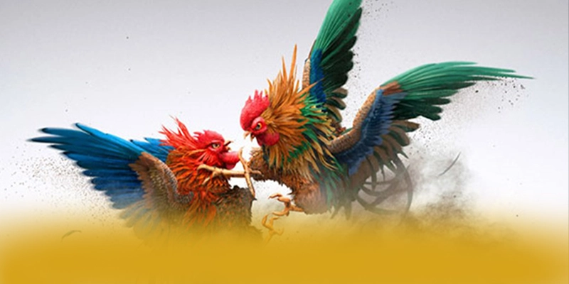 GO8 - Sảnh game hiện đại được cộng đồng đánh giá cao GO8 - Sảnh game hiện đại được cộng đồng đánh giá cao