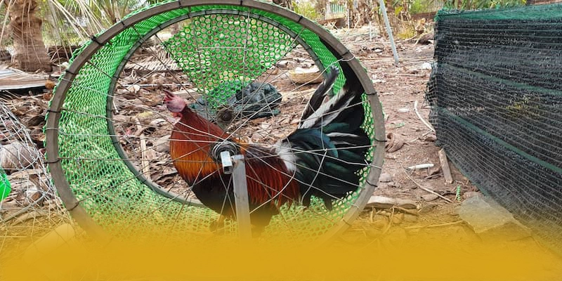 W88 – Cổng game bài an toàn tuyệt đối, được cộng đồng game thủ tin tưởng. W88 – Cổng game bài an toàn tuyệt đối, được cộng đồng game thủ tin tưởng.